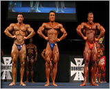Australian PRO 2007